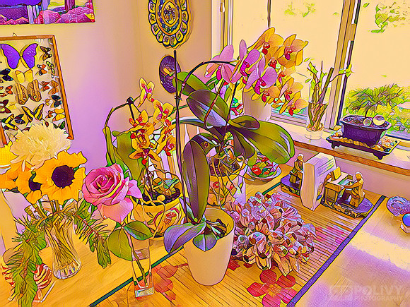 Flowers_6390
