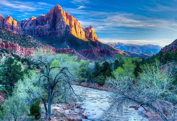 Zion National Park