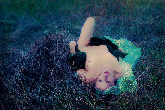 Suzanne's Mylar Fields