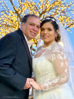 Grace & Patsey Wedding_The Surf Club in New Rochelle, NY