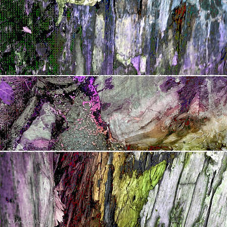 Abstract-4556