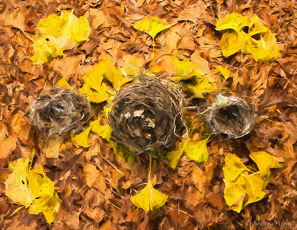 Impresssion Nests on Leaves