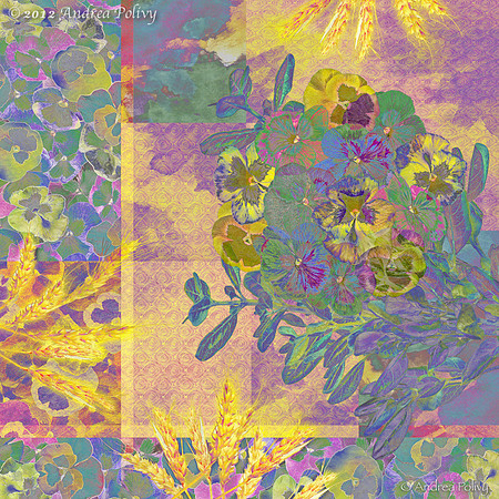 Pansy Difference-0182