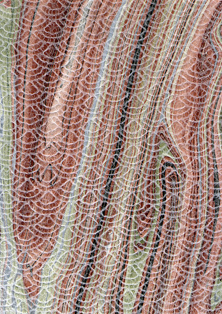 Rice Paper 2