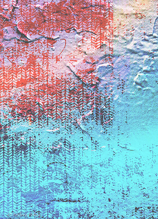 Color & Texture-3179