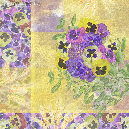 Pansy Difference 2-0184
