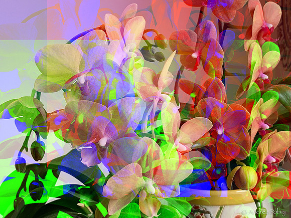 Oscillating Orchids-1967