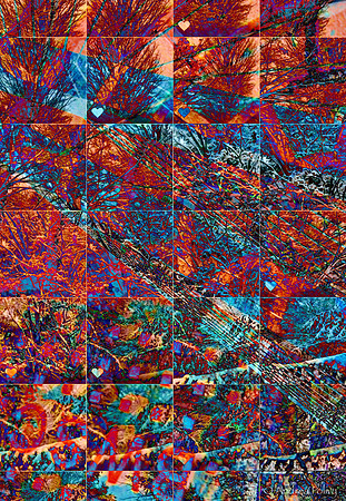 Red Bridge Abstract-8993