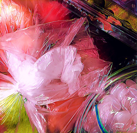 Abstract Plastic Bags & Fruit-8246