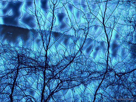 Blue Lake & Branches-3503