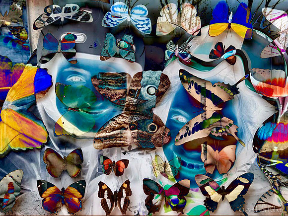 2 Girls & Butterflies-3957