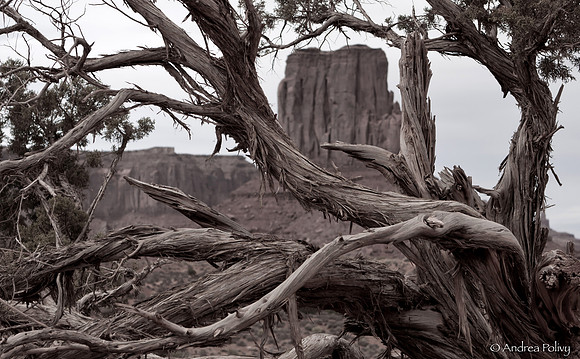 Monument Valley Icon-2178