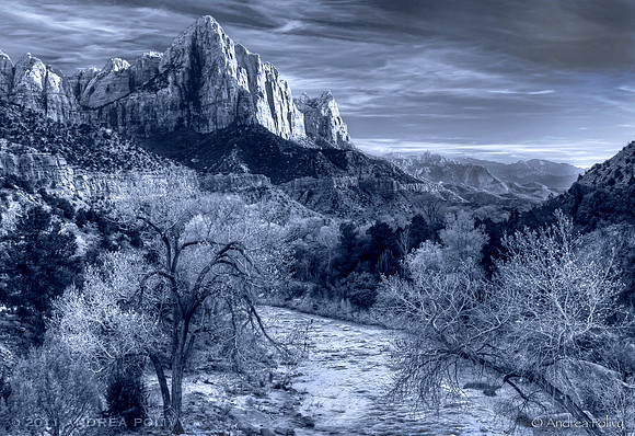 Zion Canyon Vista_B&W