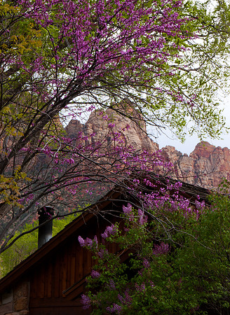 Zion Canyon Hotel, American South West, Utah, Colorado Plateau