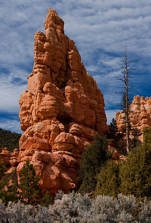 Bryce Canyon, American South West, Utah, Colorado Plateau