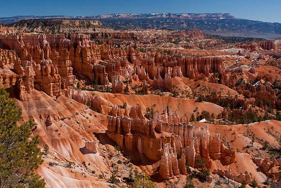 Bryce Canyon, American South West, Utah, Colorado Plateau