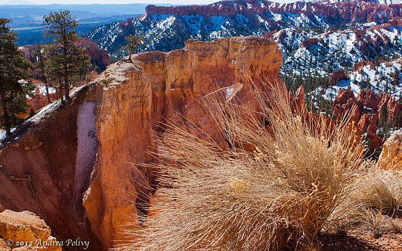 Photography, America, South West, Utah, Arizona, Nevada, Colorad