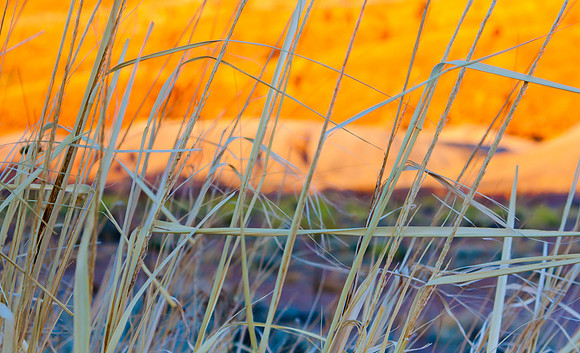 American South West, Utah, Arizona, Nevada, Colorado Plateau