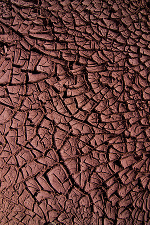 Cracked Earth, American South West, Utah, Arizona, Nevada, Colorado Plateau