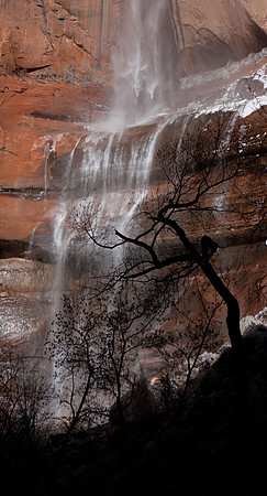 Waterfalls, Zion Canyon, American South West, Utah, Colorado Plateau