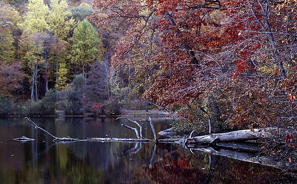 Winter Scenic Digital Composite Fantasy Photo Illustration