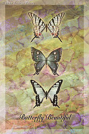 Butterfly Silk_8 Bit