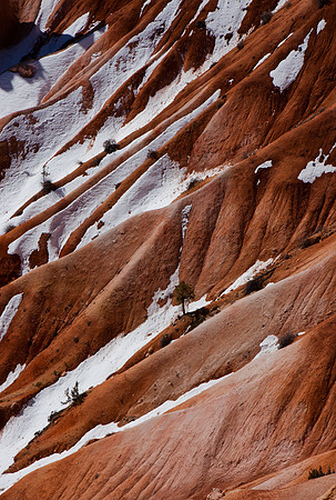 Bryce Canyon, American South West, Utah, Colorado Plateau