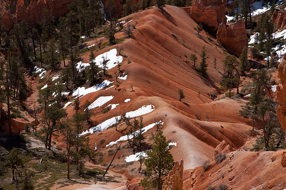Bryce Canyon, American South West, Utah, Colorado Plateau