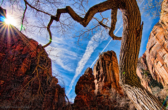 Reaching for the Sky