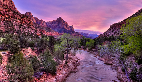 Zion Canyon, Enchanted Pink