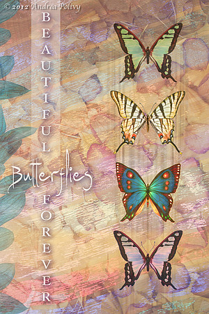 Butterfly Silk_2