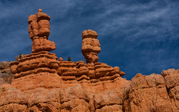 Bryce Canyon, American South West, Utah, Colorado Plateau